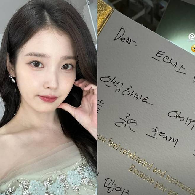 사진=아이유, 나연 SNS