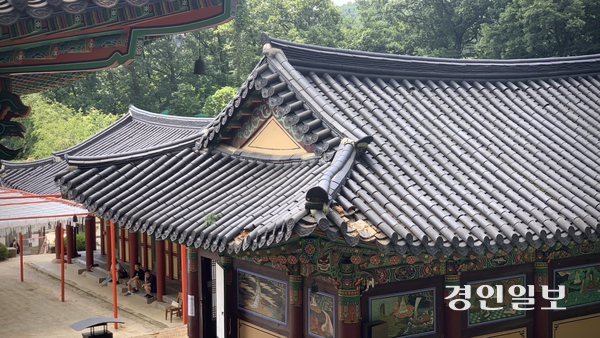 22일 오전 남양주시 봉선사 관음전 지붕. 이틀전 쓰러진 전나무로 인해 기와 일부가 깨지고 처마 끝이 파손된 모습이 고스란히 남아 있다. 2025.7.22 /유혜연기자 pi@kyeongin.com