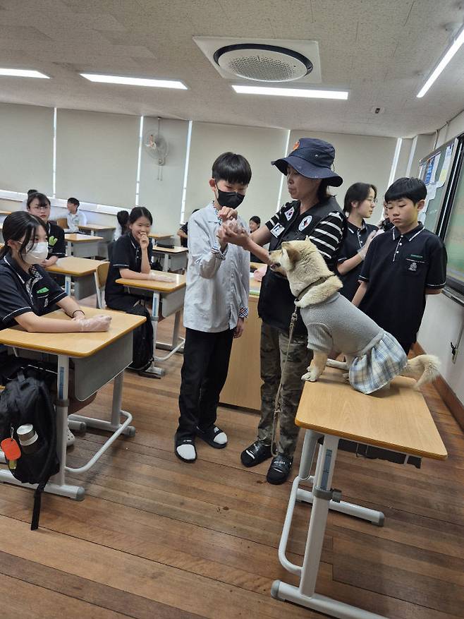 자유학기제 일환으로 직업체험 중 반려견 훈련사를 접하고 있는 학생들. 대전느리울중 제공