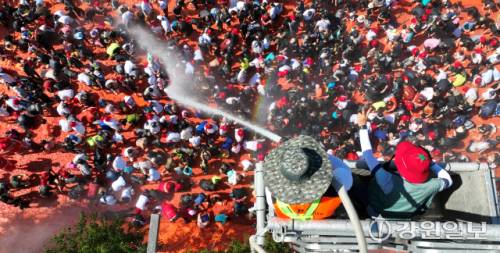 ◇화천토마토축제가 오는 8월1~3일 사내면 문화마을 일대에서 열린다. 사진은 관광객들이 ‘황금반지를 찾아라’ 이벤트를 즐기는 모습.