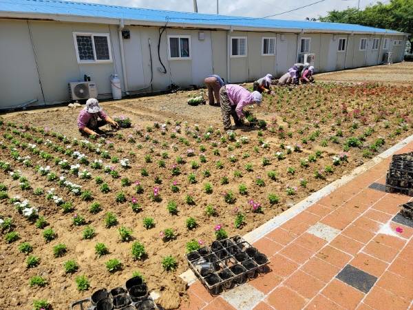 대한민국 10대 명품섬 가운데 하나인 사천시 신수도에 아름다운 꽃밭이 조성돼 관광객과 주민들에게 큰 호응을 얻고 있다. 사진은 꽃밭을 조성 중인 할매봉사단.