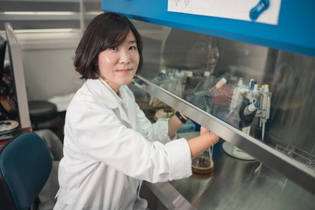 차미나 대표가 협력 업체 연구실에서 할머니의 씨된장 종균을 분리하고 있다./본인 제공/