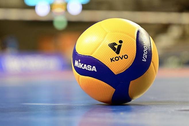 제공 | 한국배구연맹