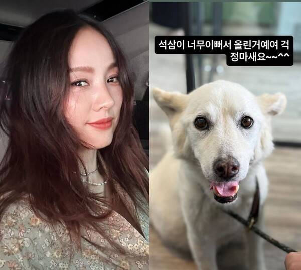 ​ⓒ이효리 인스타그램