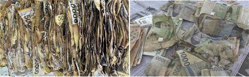 훼손 화폐 소손권 예시 (왼쪽부터) 낱장으로 분리, 잔존면적 기준으로 교환. 한국은행 광주전남본부 제공