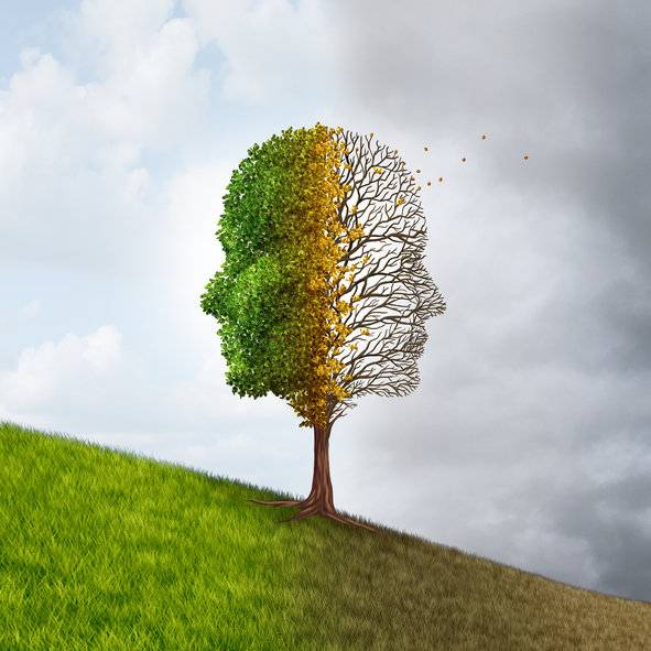 사진=게티이미지코리아.