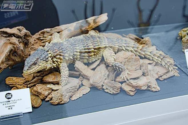 11.jpg 일본의 25만원짜리 장난감