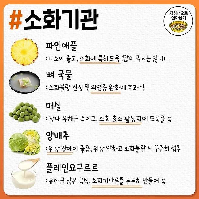 몸에 좋은 음식 모음.jpg