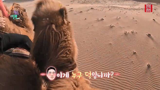 [지지고 볶는 여행]드디어 고비 사막에 도착! ....했는데 짜증 난 옥순! 이유는 낙타 위에서 옥순을 살살 긁는 영식 때문! 제발 그만...! ep19-1.mp4_20250722_122551.813.jpg 나는솔로 옥순이 낙타 타다 영식에게 짜증난 이유