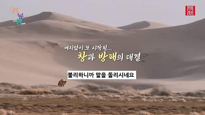 [지지고 볶는 여행]드디어 고비 사막에 도착! ....했는데 짜증 난 옥순! 이유는 낙타 위에서 옥순을 살살 긁는 영식 때문! 제발 그만...! ep19-1.mp4_20250722_122606.909.jpg 나는솔로 옥순이 낙타 타다 영식에게 짜증난 이유