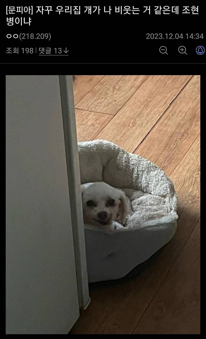 xthzrP.webp.ren.jpg 본인이 조현병 의심된다는 디씨인