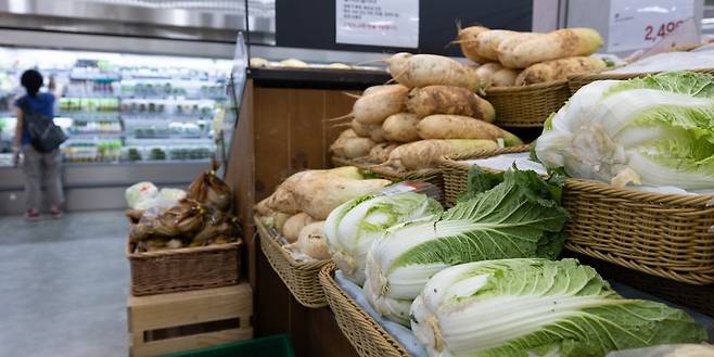22일 서울 시내의 한 대형마트에 배추가 진열돼 있다. 뉴스1