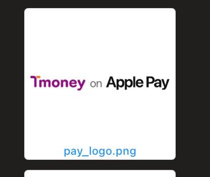 티머니&애플페이 로고 [사진=아이뉴스24 DB]