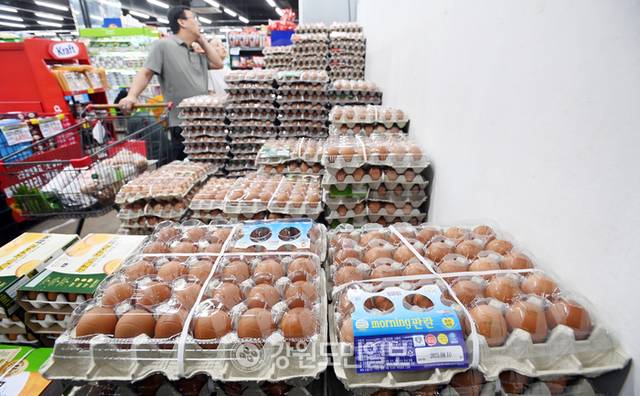 ▲ 달걀 물가가 산지가격 영향으로 상승세를 보이고 있다. 방도겸 기자