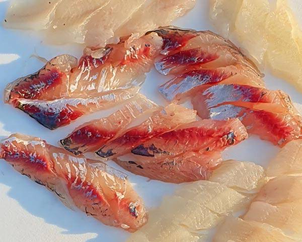 매가리를 잡아 바로 뜬 회.