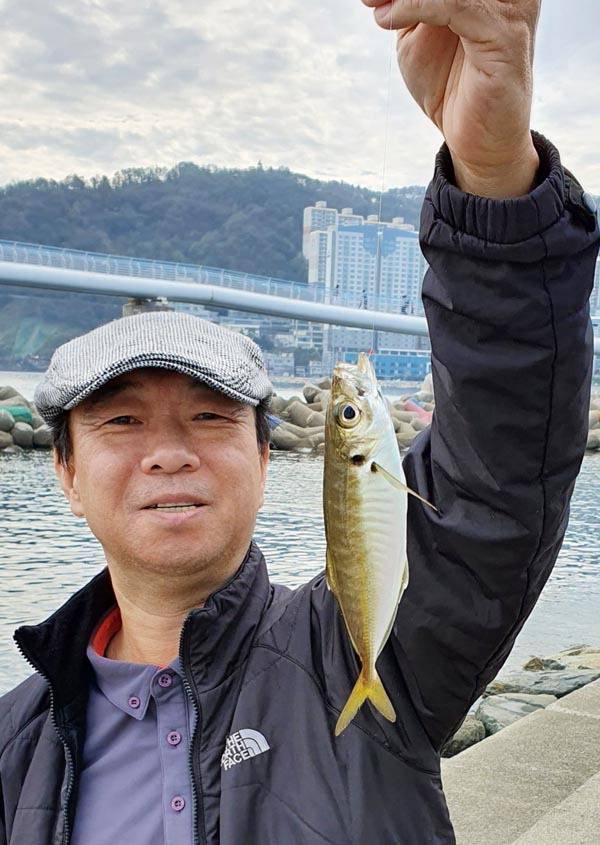 낚시로 잡은 매가리.