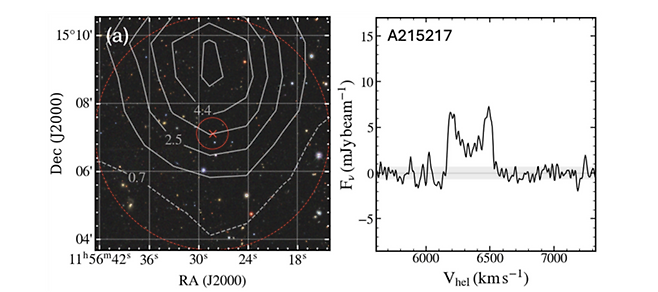 암흑 은하 후보 A215217의 예. (왼쪽) 가시광 컬러 영상 위에 HI 중성수소 분포를 등고선으로 표시 (등고선의 숫자는 1019cm-2 단위의 중성수소 기둥 밀도를 의미). 중심에 빨간색 가위표는 은하의 중심을 의미하고, 빨간색 두 동그라미는 각각 은하 위치 불확실도의 중앙값과 5를 의미한다. (오른쪽) 중성수소 관측에서 얻은 스펙트럼. 중심에 두 개의 봉우리가 자체 중력으로 회전하고 있는 은하와 비슷한 천체임을 암시한다. [서울대학교 제공]