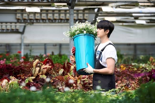tvN 새 월화드라마 ‘첫, 사랑을 위하여’ 제공
