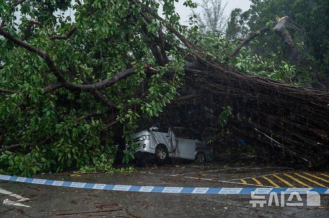 [홍콩=AP/뉴시스] 20일(현지 시간) 홍콩을 강타한 제6호 태풍 위파 영향으로 도로에 나무가 쓰러져 있다. 2025.07.22.