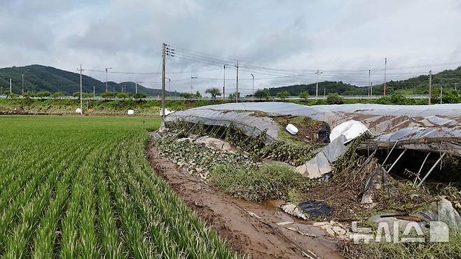 [의령=뉴시스] 차용현 기자 = 사진은 지난 20일 오전 경남 의령군 대의면 구성마을 인근 비닐하우스가 폭우로 비닐이 찢겨지고 골조가 뒤틀려 있는 모습. 2025.07.20.con@newsis.com