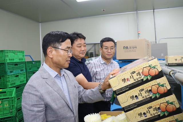 정지태 충북 음성 감곡농협 조합장(왼쪽)이 오창진 감곡농협 APC 센터장 등 관계자와 함께 ‘햇사레 감곡복숭아’의 출하 상황을 점검하고 있다.