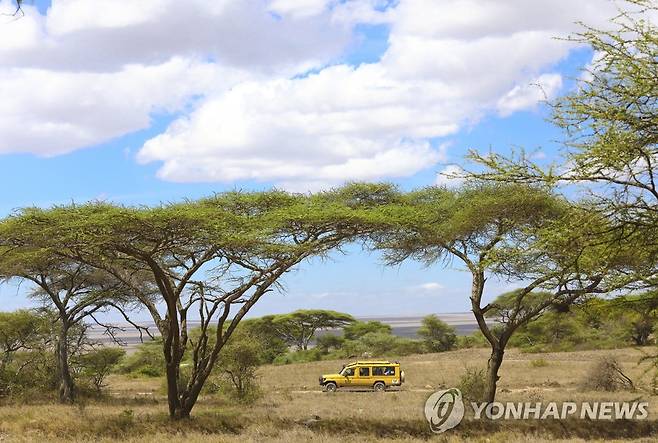 세렝게티 사파리 투어 출발 킬리만자로 공항에서 사륜구동차량을 타고 세렝게티 사파리 투어 출발하는 장면. [촬영 성연재]
