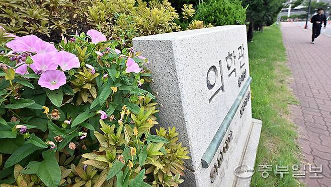 수원시 아주대학교 의과대학 앞에 무궁화가 피어있다. 김경민기자