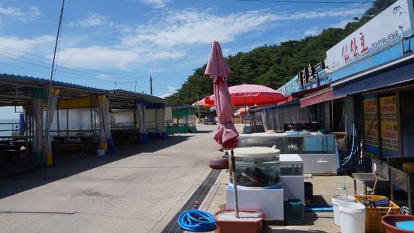 23일 정오무렵 강화군 삼산면 석모리 장곳항 어판장 모습. 원래 북적였어야 할 손님들이 단 1명도 보이지 않았다. [사진=이장원 기자]