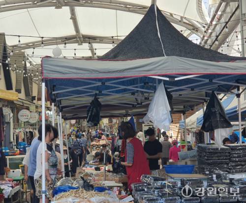 ◇민생회복 소비쿠폰 지급이 시작된 첫 주 22일 춘천 풍물시장 5일장이 인파로 북적이고 있다.