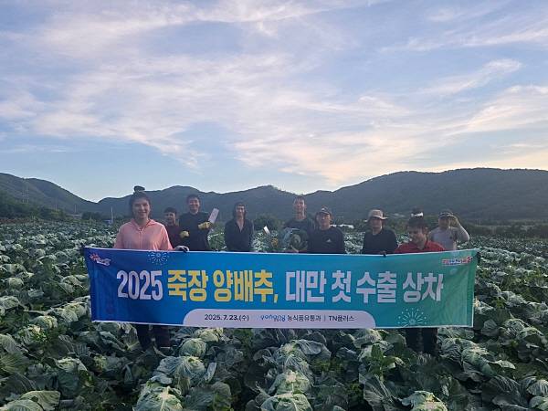 23일 포항시는 23일 죽장 지역 특산물인 양배추가 대만으로 첫 수출길에 올랐다.