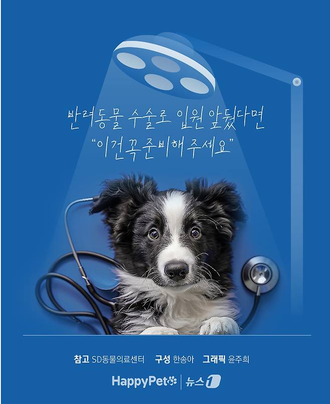 ⓒ News1 윤주희 디자이너