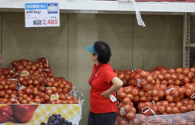 지난달 20일 서울 서초구 하나로마트 양재점 양파 판매대 모습. /연합뉴스