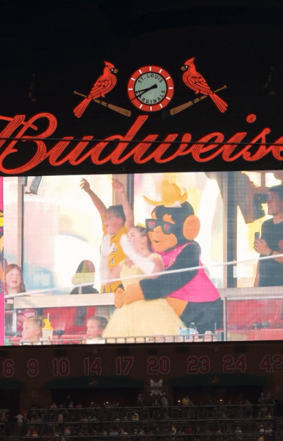 ⓒ사바나 바나나스 SNS 갈무리