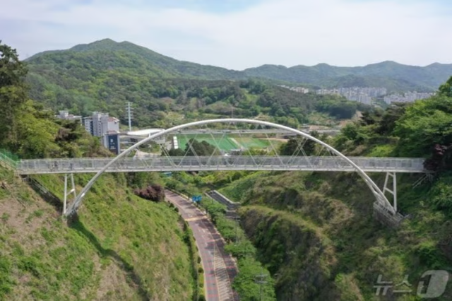광주 남구 제석산 구름다리 모습.  [광주 남구 제공]