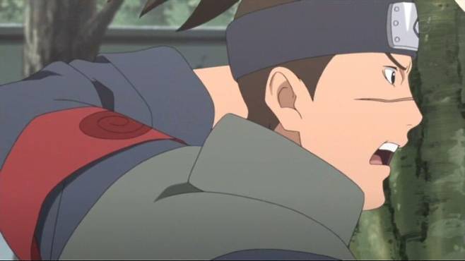 1ee14f62c65f053be65ee29b4b9797bc.jpeg 나뭇잎 마을에서 이루카 센세의 취급.jpg