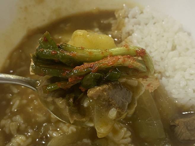 IMG_4102.jpeg 카레