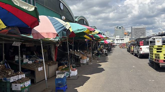 지난 22일 서울 송파구 가락시장 청과물 점포. 방문객이 없어 한산하다. 박연수 기자