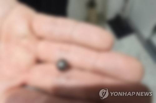 인천 사제총기 살해 사건에 쓰인 탄환 인천경찰청 제공