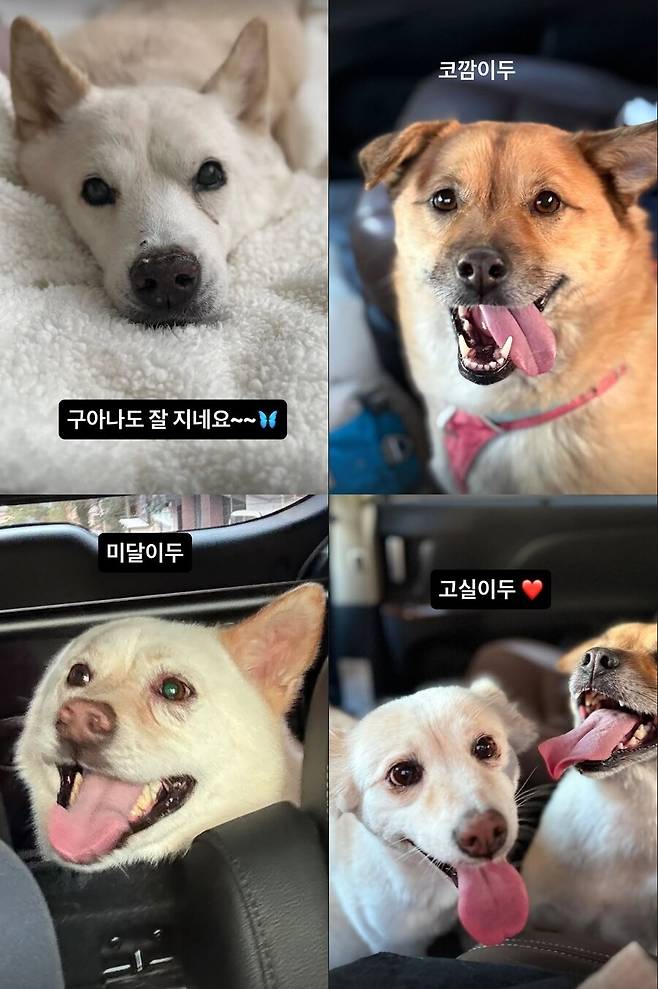 ▲ 출처|이효리 인스타그램