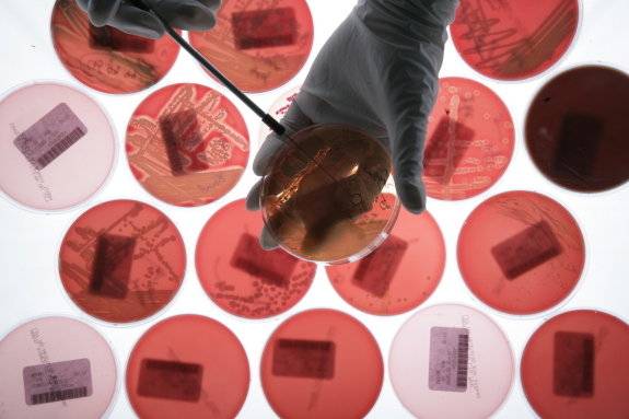 인류는 주기적으로 신종 감염병의 위협을 받고 대응책을 마련해왔다. 고려대의료원 제공