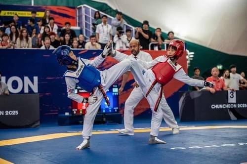 태권도 오픈대회 [조직위 제공.재판매 및 DB 금지]
