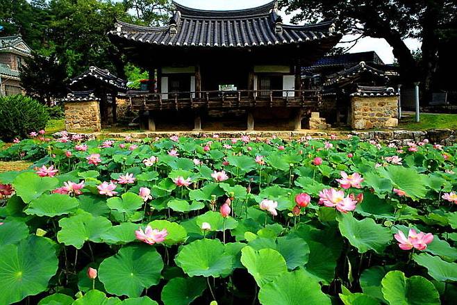 오는 25일 정자음악회가 열릴 봉화읍 거촌리(황전) 도암정 모습. /봉화문화원 제공