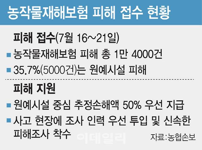 [이데일리 김일환 기자]