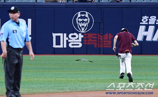 24일 서울 고척스카이돔에서 열린 키움과 롯데의 경기. 2회 경기 도중 그라운드에 비둘기가 나타났다. 비둘기를 쫓고 있는 경기장 진행요원들. 고척=송정헌 기자songs@sportschosun.com/2025.07.24/