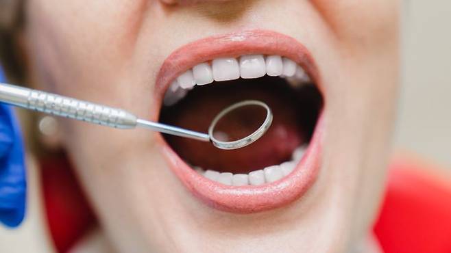 구강 관련 이미지 ⓒ게티이미지뱅크
