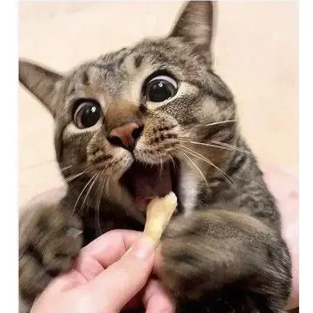 7ee9d473e0843aa53ae685b117d3203fe4afcc127a571776e4ed0e6e2f35f8806cad7653e9677d91ce5ef9a87a3a8da823