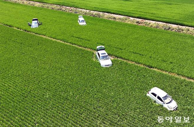 24일 충남 서산시 수석동의 한 논에 차량 여러대가 방치돼 있다. 서산=양회성 기자 yohan@donga.com