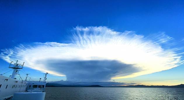 모루구름이 하늘에 광범위하게 퍼져 있다.  [사진=X 갈무리 ]