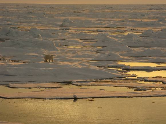 북극 해빙이 빠르게 녹고 있는 것으로 분석됐다. 갈수록 면적이 줄고 있다. [사진=NOAA]
