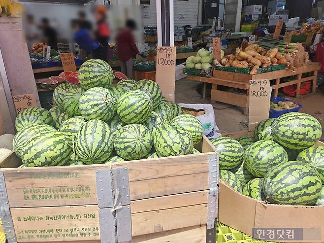 망원 청과물거리/사진=유지희 기자